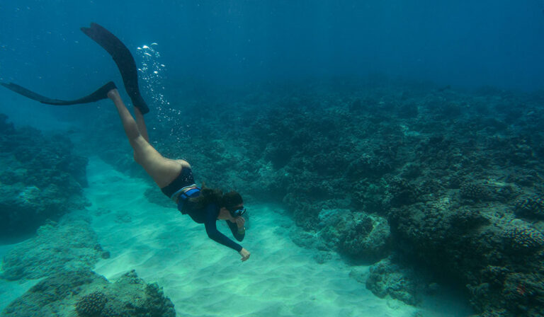 Discover the Wonders of OceanWP’s Scuba Demo for Your Diving Website