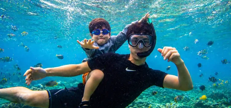Snorkeling Pulau Pari