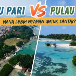 pulau pari vs pulau kelapa