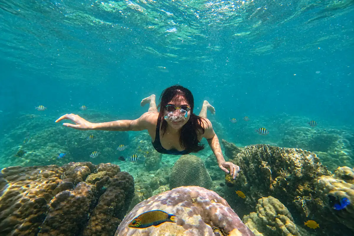 Snorkeling Pulau Pari, Panduan Spot Laut dan Aktivitasnya 1 Snorkeling Pulau Pari